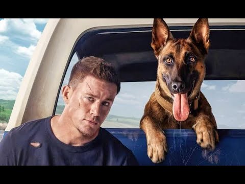 بتجبره الظروف يعيش مع كلب شرس وبيكتشف انه ممكن يقتله فى اى لحظه ملخص فيلم Dog