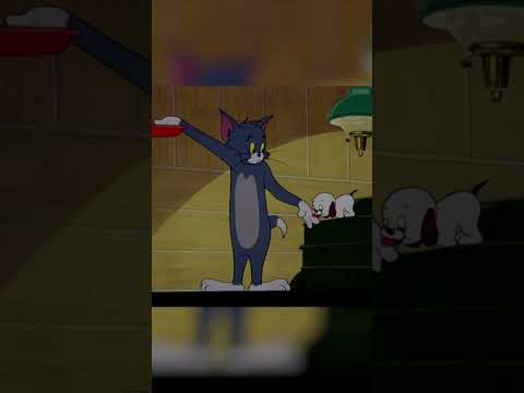 Babysitting A Puppy Tom And Jerry Boomerang UK Puppy TomandJerry ClassicCartoons Shorts