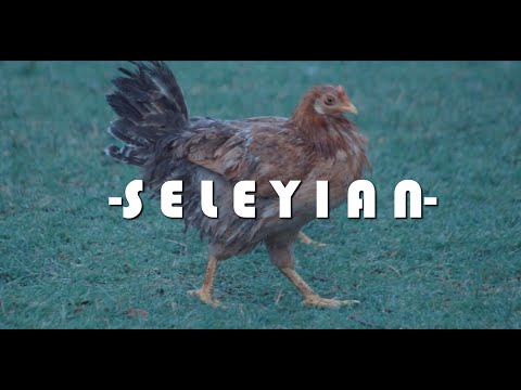 SELEYIAN MAA FINEST OFFICIAL VIDEO 4K