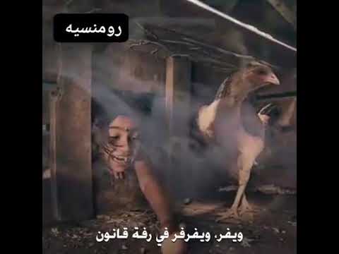 ويرفرف العمر الجميل الحنون