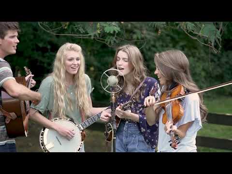 Dreams The Petersens LIVE