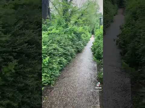 الإنخراط في نقابة العمال في فرنسا