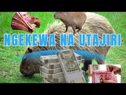 NGOZI YA NGEKEWA NI DILI KUBWA SANA