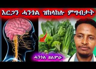 ሓንጎል ዘለምዑ ምግብታት Foods That Support Brain Health Education Eritreanmoviie Eritrea