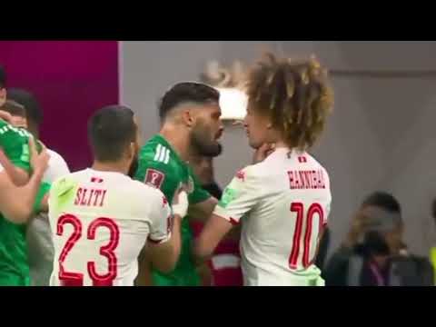 مشي غاشي راشي