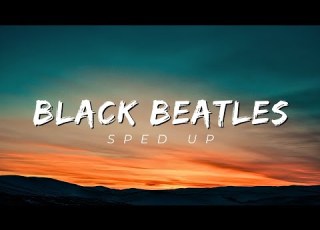 Black Beatles Best Sped Up Reverb Version Viral Edit