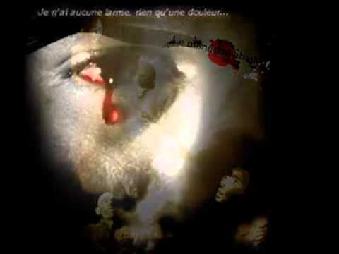 لطفي الورغمي عجايب يا دنيا عجايب