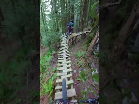 Freeride Was Born Here