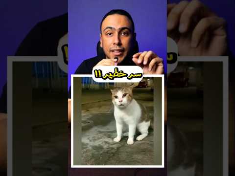 ملحمة الصاوى و جمعة