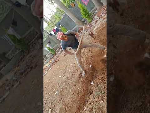 Katya Side Ho Ja Https M Facebook Com Story Php Story Fbid 463447718769542 Id 100053129537958