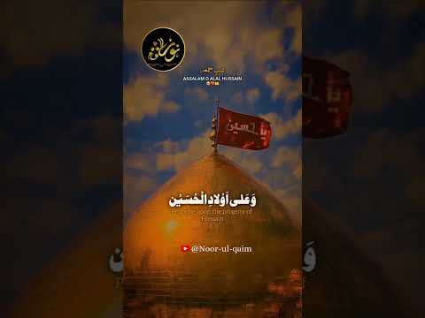 Ziyarat E Ashura Video Shorts Viralvideo Youtubeshorts