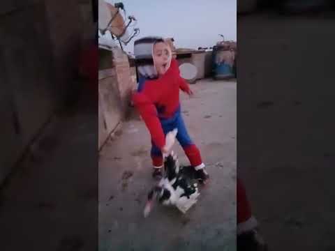 اغنيه شيماء البطه