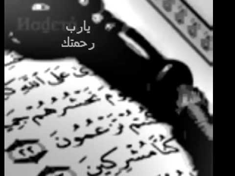 يانور على نور عمرو دياب