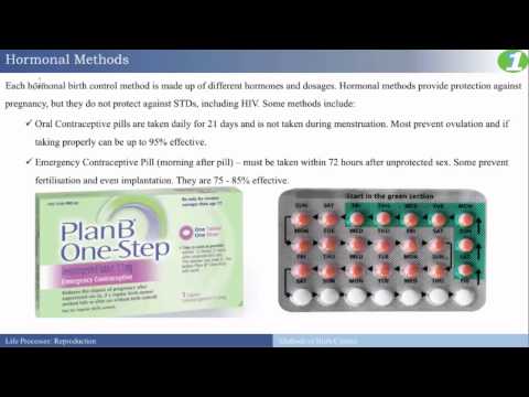 Biology Methods Of Birth Control