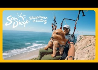 Smile And All Of San Diego Smiles With You