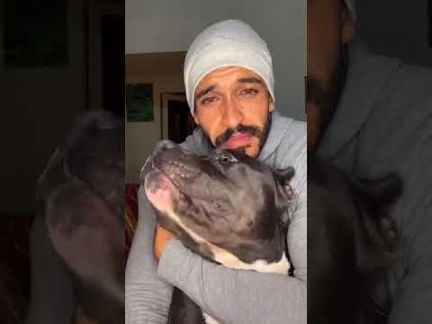 طه اسعد يبكي على كلبه قبل موته بأيام مؤثر طه اسعد يبكي على كلبه قبل موته بأيام مؤثر