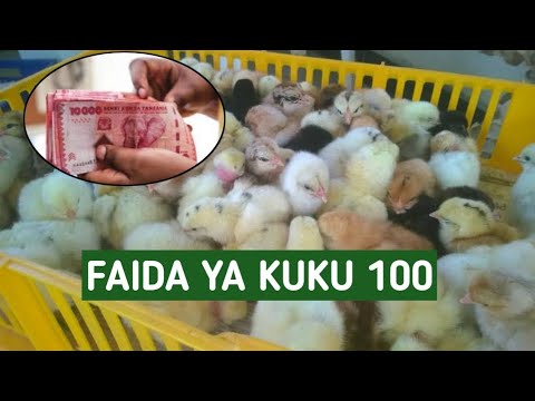 BAJETI NA FAIDA YA KUFUGA KUKU CHOTARA 100