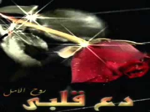 ميادة الحناوي كبريائي