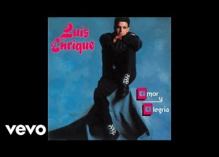 Luis Enrique Tú No Le Amas Le Temes Audio