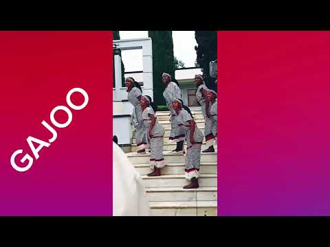 GAJO TILAHUN IYYOOLEE New Ethiopian Oromo Music 2025