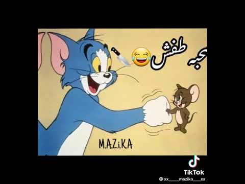 سيبو سيبو سيبو ياحامد عامل قلق وشغل جامد صحبه طفش مبتشرفش مفيش سندال كله الارنب