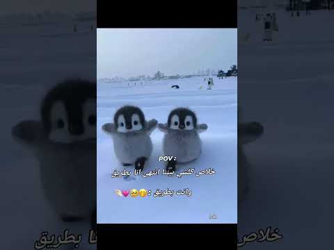 حالات واتس انت بطريق وانا بطريق بس ولله كيوت