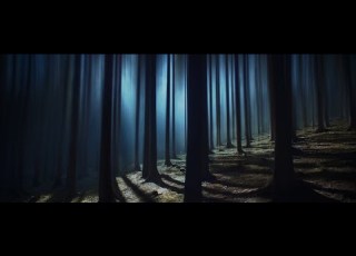  Circles Bob Night 5 Minute Loop HD Good Part