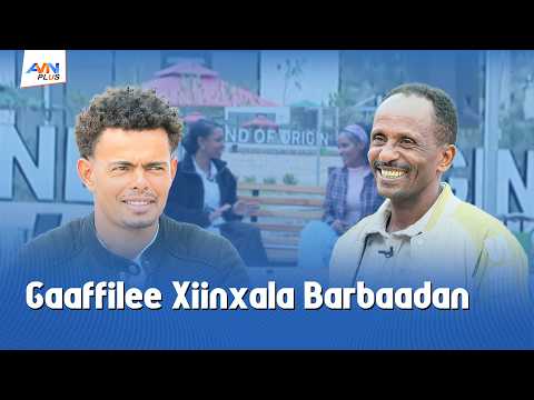 Qora Sammuu Galaana Diimaa Keessa Uffata Adii Yoo Buusne Halluun Uffata Sanaa Maal Ta A