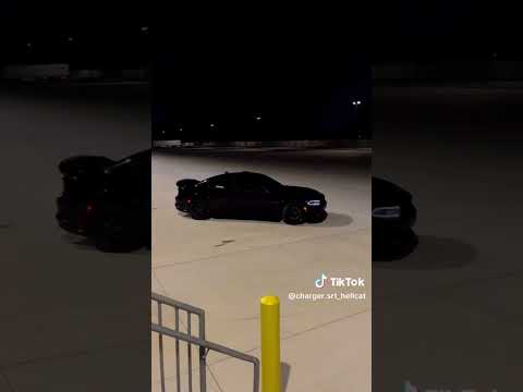 اشيل كلبي اذبه تعبني الله يتعبه