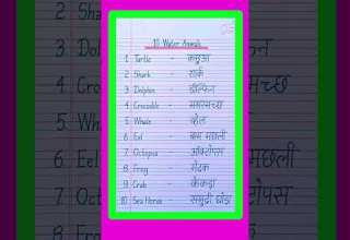 10 Water Animals Name In English And Hindi Water Animals Name जल य ज व क न म English Vocabulary
