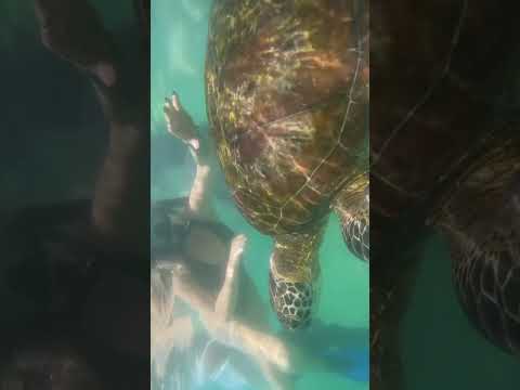 Https Www Facebook Com Share 1CQS2TXWST Mibextid WwXIfr 0705551051