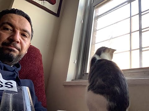 الحكاية والرواية مع بلال فضل كيف أصبحت منتجا سينمائيا وحكايتي مع القط كوبا والأمعاء الدقيقة