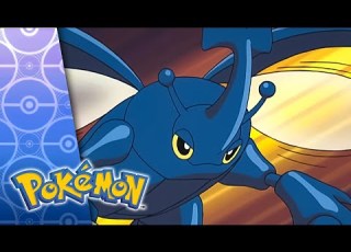  All In A Day S Wurmple POKÉMON FULL EPISODE 14 Season 6