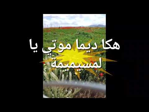 هكا ديما موتي يا المسيميمة اغنية عونيات