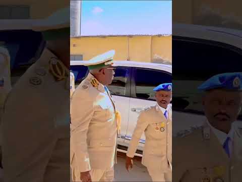 Https Www Facebook Com Reel 920231570629308