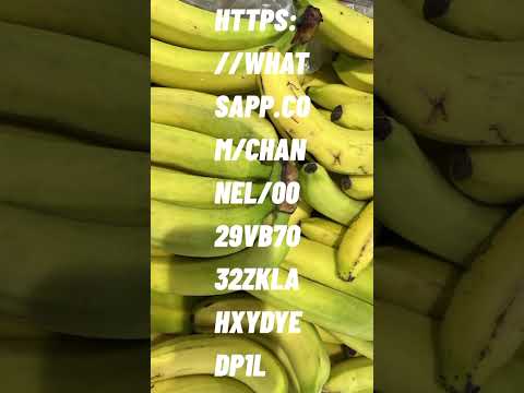 Https Whatsapp Com Channel 0029Vb7o32zKLaHxYdyeDP1L