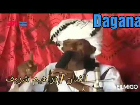 المبدع إبراهيم شريف