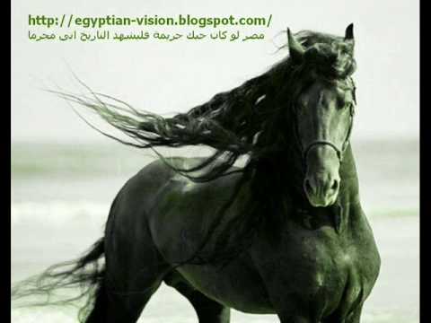 على صوتك محمد منير