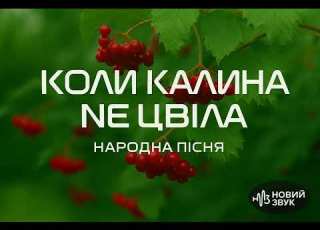 НОВИЙ ЗВУК Коли Калина не Цвіла