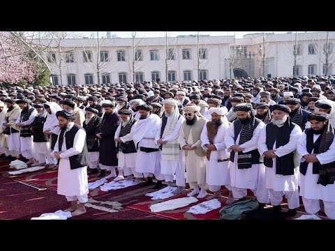 ګلخانان پنجابیان اوس غواړی دافغان ولس او حکومت ترمینځ نفرت زیات کړی ویډیو مخکی شیر کړۍ چې ټول خبر شي