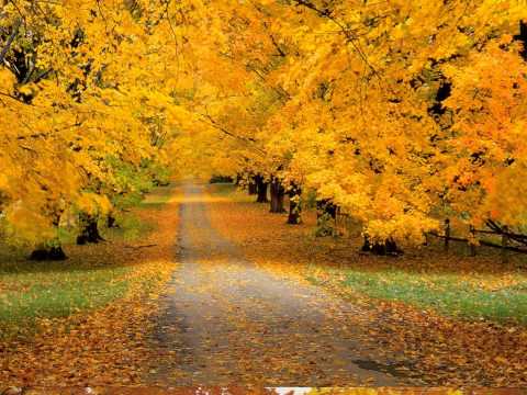 GHEORGHE ZAMFIR EINSAMER HIRTE THE LONELY SHEPHERD