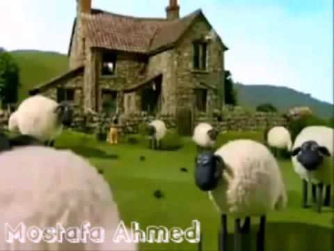 جانا العيد وهنعيد وهندبحك يا خروف سيد جانا العيد وهنعيد وهندبحك يا خروف سيد