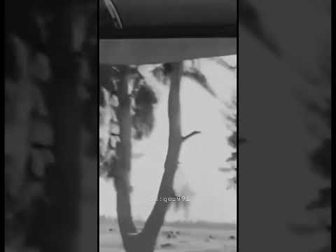 ياما شفنا فعيون حلوين الحكايات قلبي المسكين نجاة الصغيره لا العاشق مرتاح ولا الخالي مرتاح الوصف ياما شفنا فعيون حلوين الحكايات قلبي المسكين نجاة الصغيره لا العاشق مرتاح ولا الخالي مرتاح الوصف