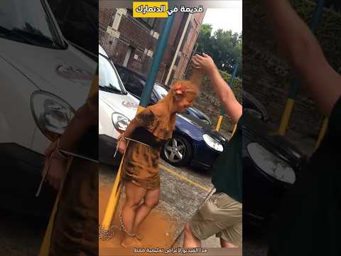 هذا ما يحدث إذا تجاوزت 25 عاما بدون زواج في الدنمارك Shorts