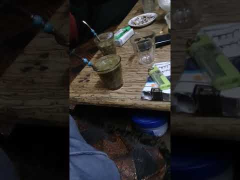 احلا كاسة متة مع احلا شباب