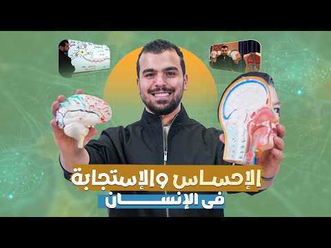 الإحساس والإستجابة في الإنسان المحاضرة 6 علوم متكاملة أولى ثانوى