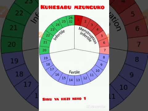 Kuhesabu Mzunguko Wa Hedhi Shorts Dalilizamimba