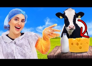  كيف بتنصنع الجبنة و اللبنة من الحليب