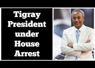  Tigray President Tadesse Werede Put Under House Arrest