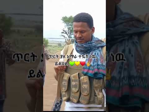Amhara Fano Amhara Fano አማራ